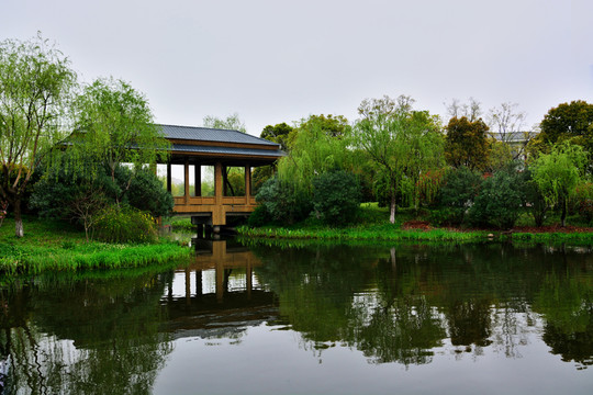 顧村公園
