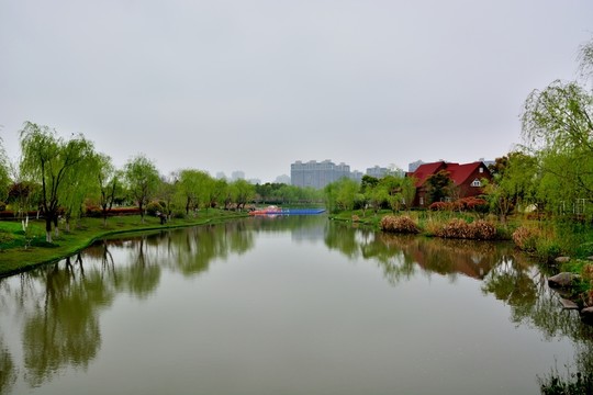 顧村公園