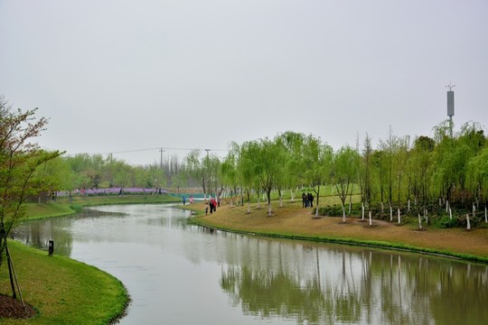 顧村公園