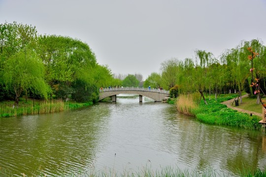 顧村公園