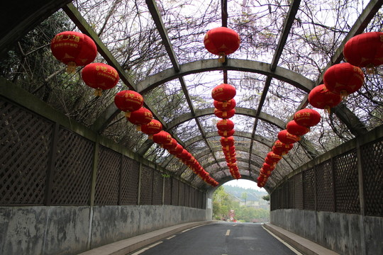 春天的小區(qū)