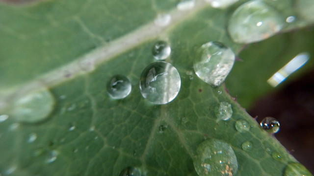 水珠