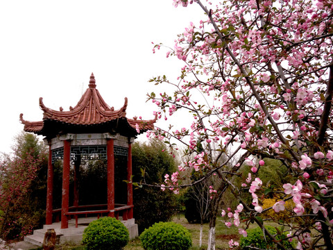 公園風景
