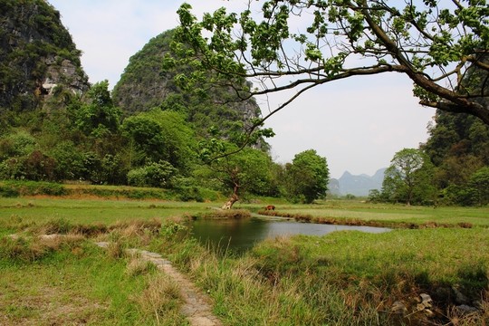 峰林