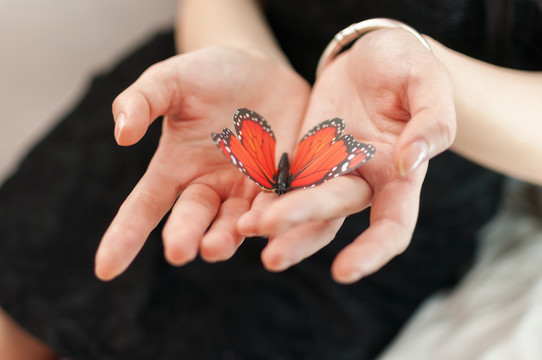 手心里的蝴蝶