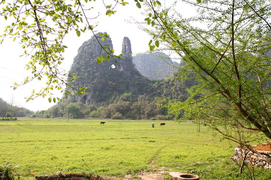 田園峰林