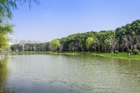 湖景
