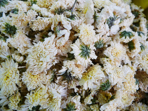 菊花茶