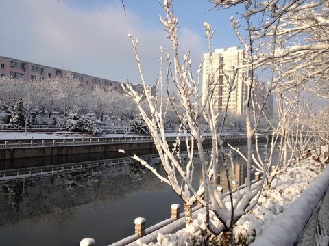 雪景