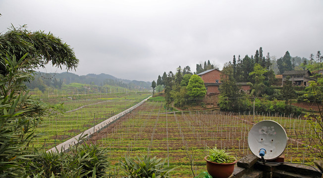 農(nóng)田 鄉(xiāng)村美景