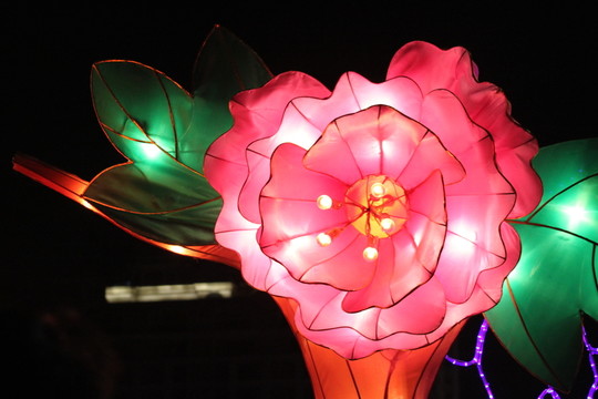 燈展
