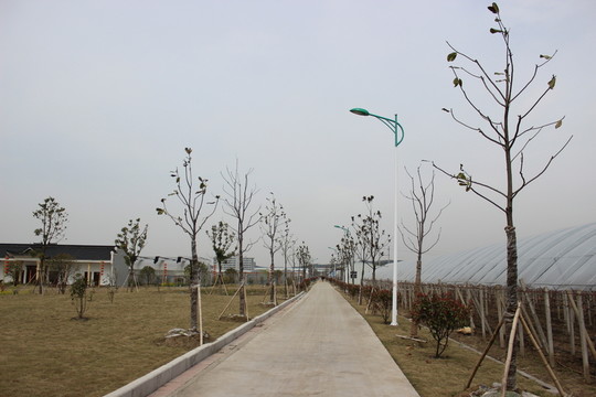 道路
