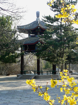 公園涼亭