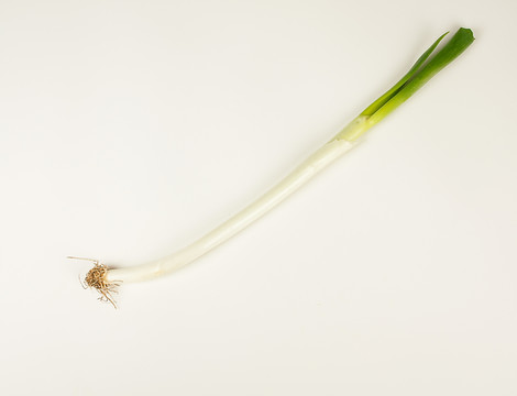 一根蔥