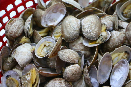 小甲殼海鮮