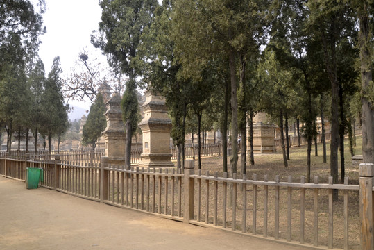 少林寺塔林
