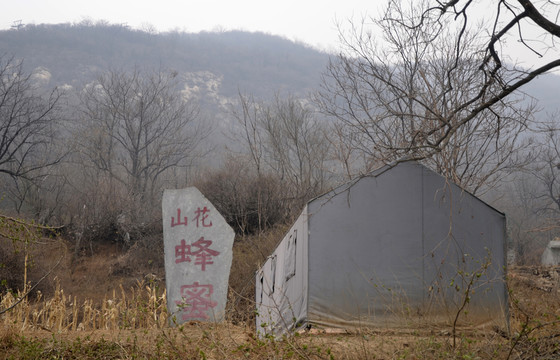 養(yǎng)蜂場
