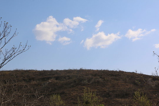 山區(qū)