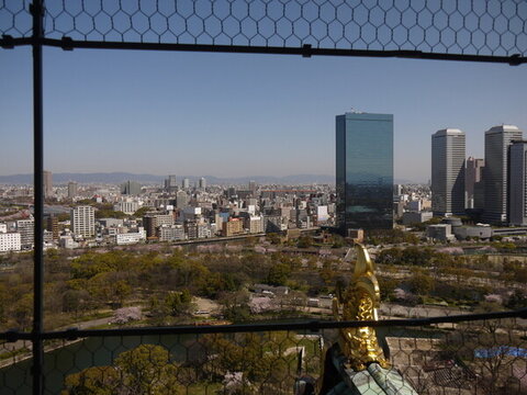 大阪天守閣 大阪城公園 神社