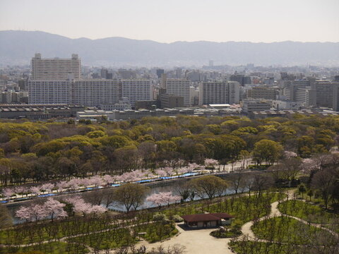 大阪天守閣 大阪城公園 神社