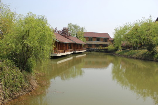 院落景色