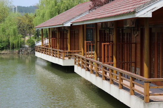 院落景色