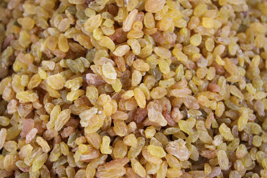 葡萄干 種子 食品 堅(jiān)果 干果