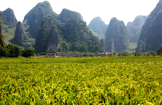 青山綠水 桂林風(fēng)光