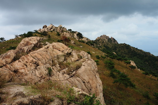 青島浮山