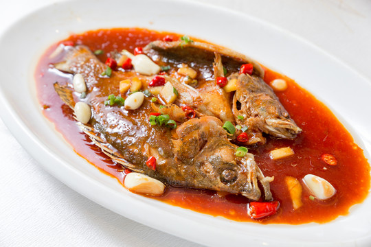 臭桂魚(yú)