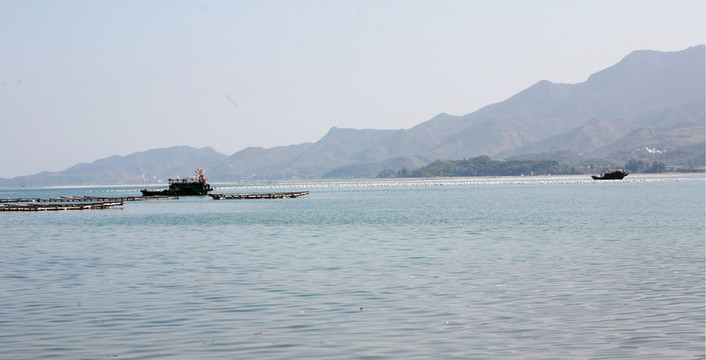 深圳南澳海濱 海鮮養(yǎng)殖