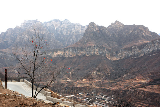 山村