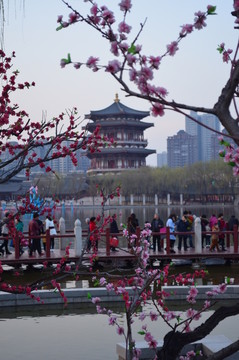仕女館