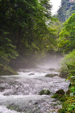 小溪霧景