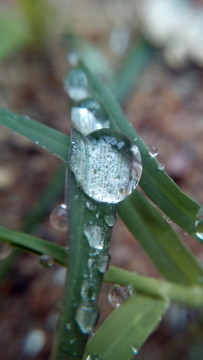 水珠