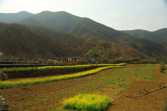鄉(xiāng)村風(fēng)景