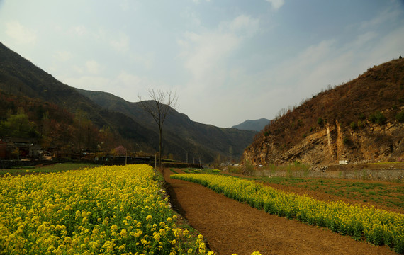 春天的風(fēng)景