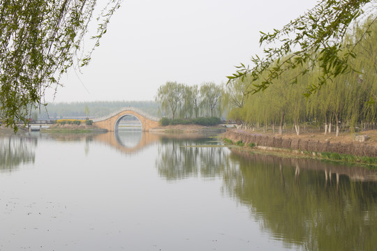 垂柳 小橋 湖面 倒影 拱橋