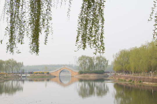垂柳 小橋 湖面 倒影 拱橋