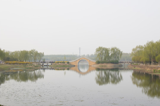垂柳 小橋 湖面 倒影 拱橋