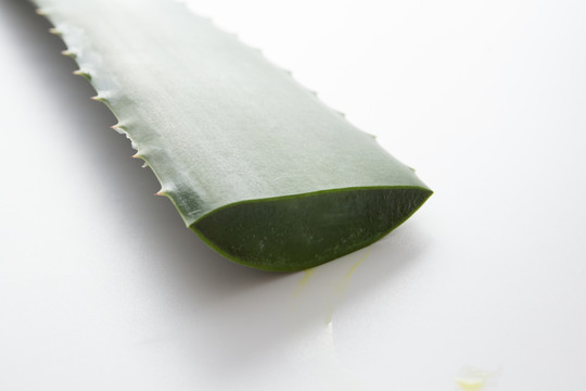 蘆薈