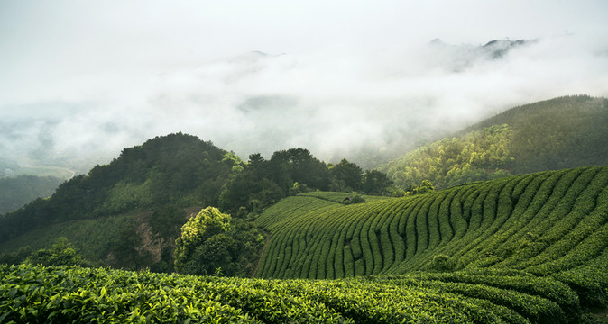 云霧大腦山