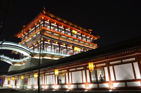 紫云樓夜景