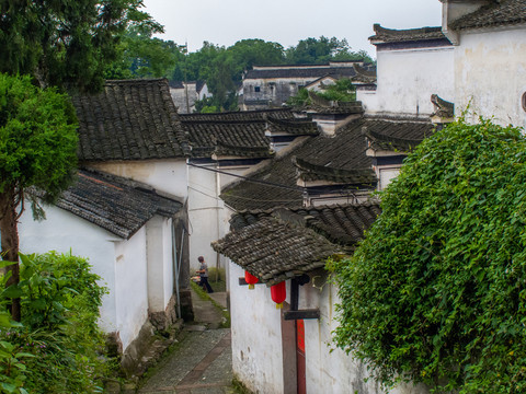 古村落 諸葛八卦村
