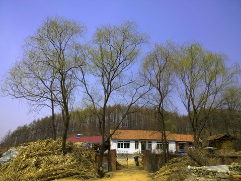 春到農(nóng)家