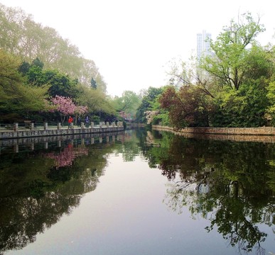 公園河岸春色