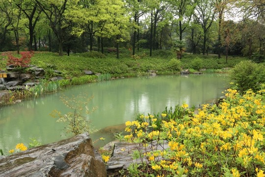 磨山風景