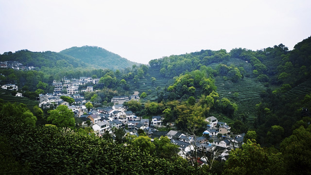 楊梅嶺