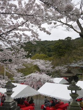 清水寺