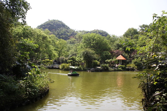 水塘